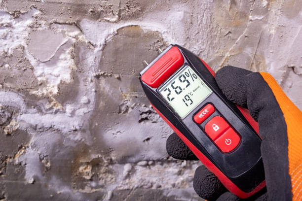Best Commercial Mold Removal  in Ligh, NE