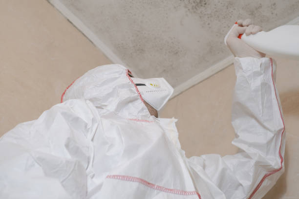 Best Office Mold Removal Services  in Ligh, NE